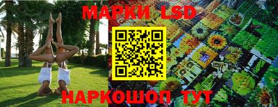 эйфоретик Донской