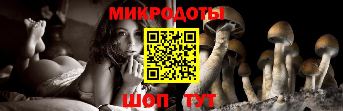 Людиново  Псилоцибиновые грибы Cubensis  Вход с VPN 